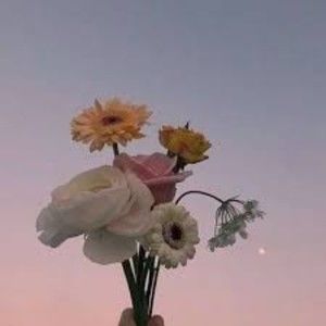 Meet your Posher, Myra